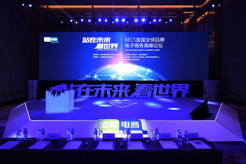 2016年首届全球品牌电子商务高峰论坛 电子商务培训引领行业新趋势